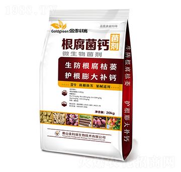 �������}2̖-�����