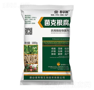 ���˸���-�����