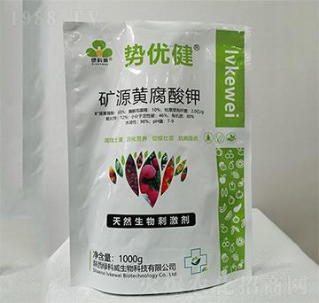 �VԴ�S�����-�݃�(y��u)��-�G����