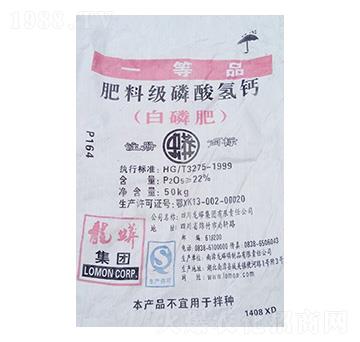 ���ϼ�������}-��N����