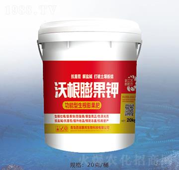 �ָ�����-�ٝ�(r��n)�ݰ�