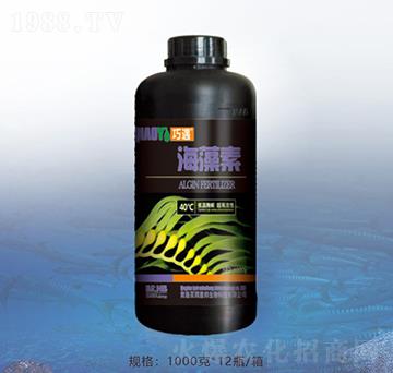 ������-�ٝ��ݰ�