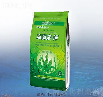 �����ء��-�ٝ�(r��n)�ݰ�