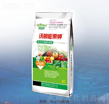 4kg�ָ�����-�ٝ�(r��n)�ݰ�