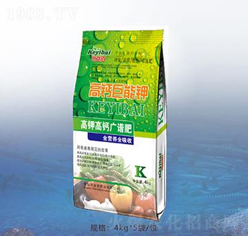 ���}�����-�ٝ��ݰ�