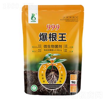 999������-���r�W��