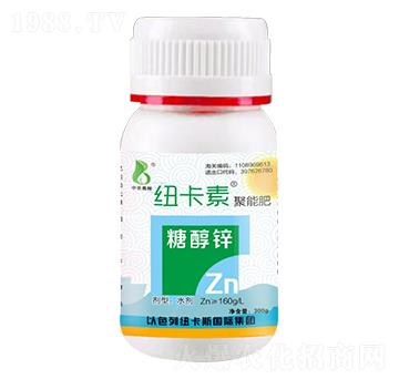 �Ǵ��\-���r�W��