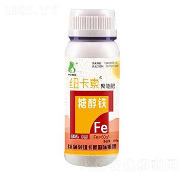 �Ǵ��F-���r�W��