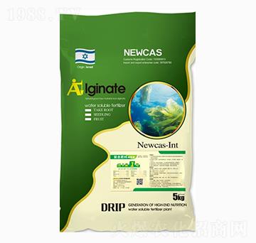 ������ͺϷ���-�~����