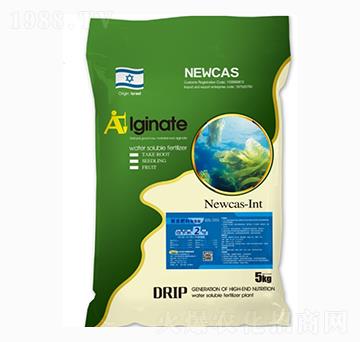 ������ͺϷ���-�~����