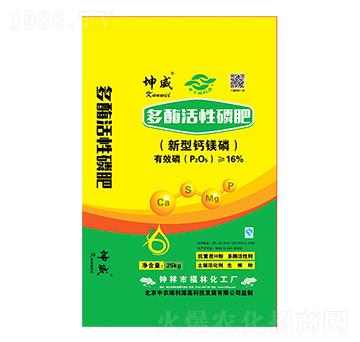 ��ø�����׷�-����-����