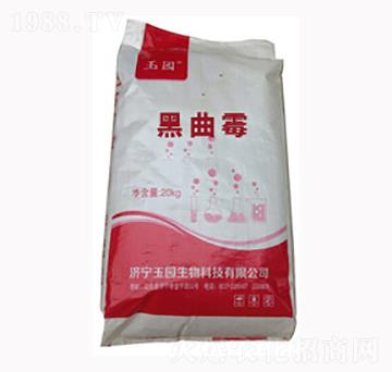 ����ù-�L̩����