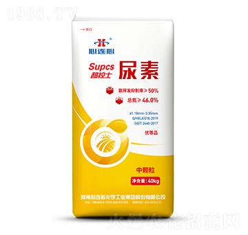 ����ʿ����-���B��