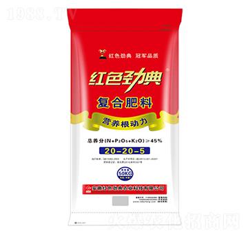 45%�ͺϷ���20-2