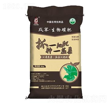 ��܊������̼��-��(zh��n)���d�r(n��ng)