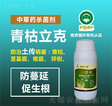 �в�ˎ������-�������-�W�S