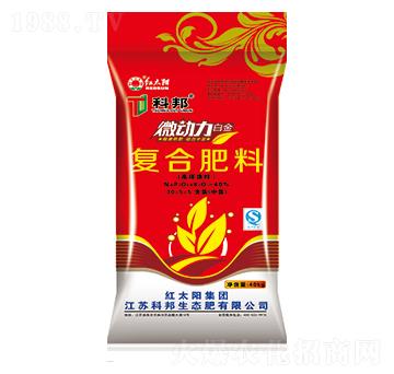 ΢��(d��ng)��������(f��)�Ϸ���30-5-5-�ư����B(t��i)