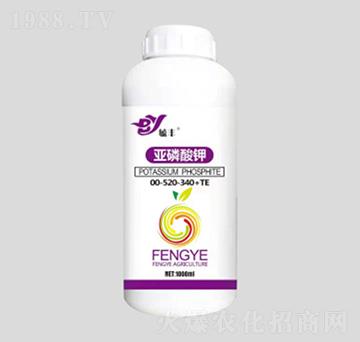 �������00-520-340+TE-�SҰ�r�I(y��)