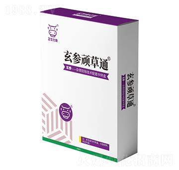 �����B��ͨ-���A����