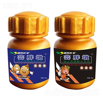 �|�ֶ����a��-�°��~��