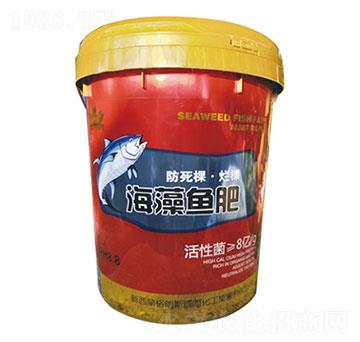 �����~(y��)��-ʥ�ɶ�