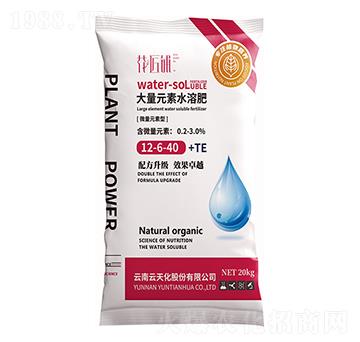 ΢��Ԫ���ʹ���Ԫ��ˮ�ܷ�12-6-40+TE-�����-���V