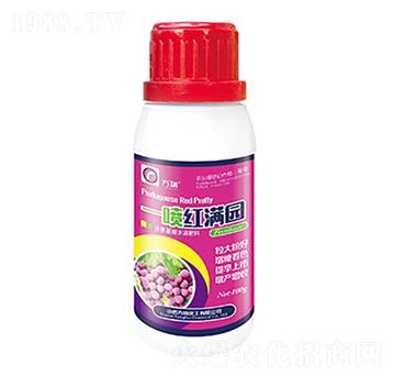 һ���t�M�@-����