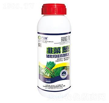 �²��[���ѿ���������-����