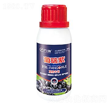 �ĺڌ�(zhu��n)��-������-����