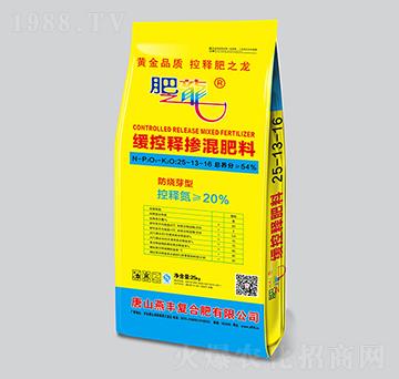 ����ጓ�����25-13