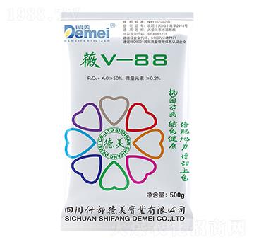 �����Dɫ���ܷ�-ޱV-