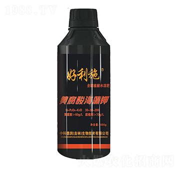 �S���ả���-���ʘI(y��)