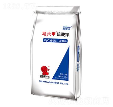 �R���������-Сħ��