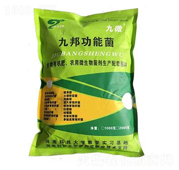 ����ʏ�(f��)�Ϲ��ܾ�-��΢-�Ű�����