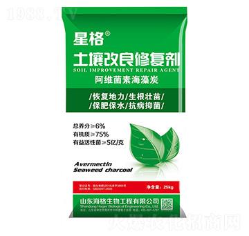 ���������ޏ�(f��)��-�Ǹ�-��������