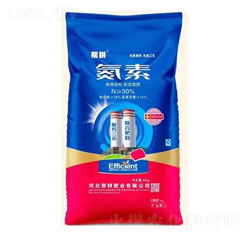 �������������͵���-����-�͸��ʘI(y��)