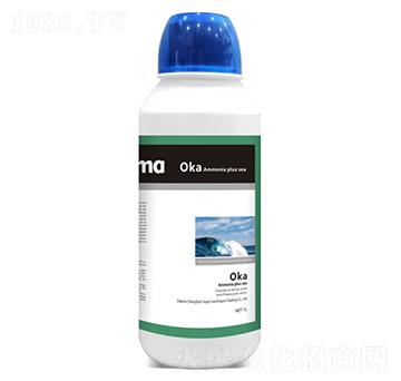 �W�����Ӻ�-�W����