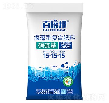 �����͏ͺϷ���15-15-15-�ٱ���-�����S