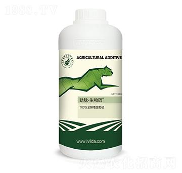 ������-���}�����-�G���_