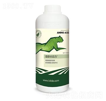 ���������̼���-���}�L����-�G���_