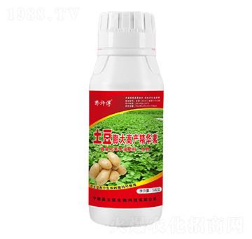 土豆膨大高產精華素-郭師傅-立信生物