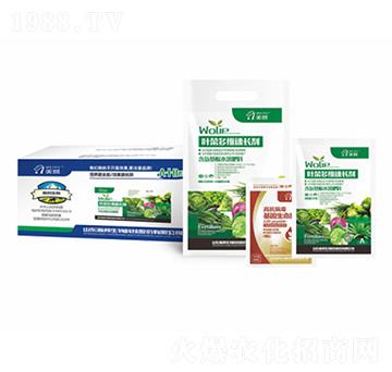 �~�˶�S���L(zh��ng)��-嫰�����