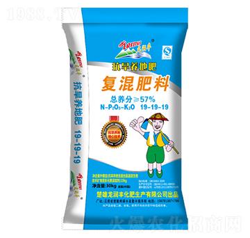 �����B(y��ng)�؏�(f��)�����19-19-19-����(r��n)�S