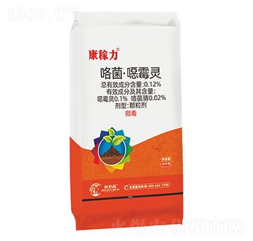 ���������ڲ���-������-����ɭ