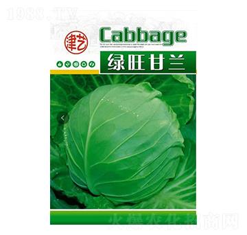 ���{(l��n)�N��-�G�����{(l��n)-���S�r(n��ng)�I(y��)