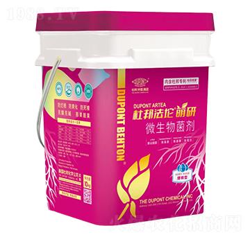 ����������΢�������-�Ű��-�Ű�