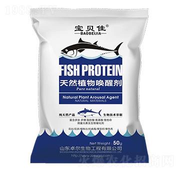 �~������ֲ��ф�-��ؐ��-׿������