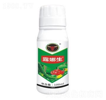 �����(x��)������-¶����-��ţ���H