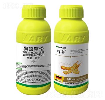 480��/�����f����-�ȶ�-�f(w��n)��