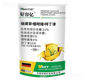 31%���ǲݡ�����¡���ض���-���݃|-�f��